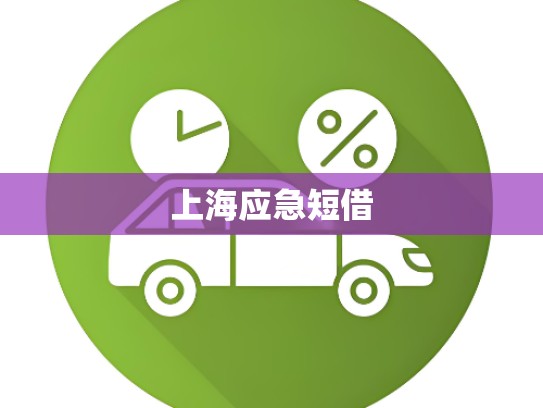 上海应急短借