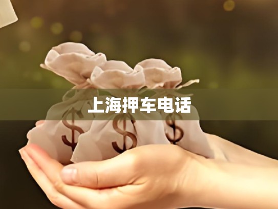 上海押车电话