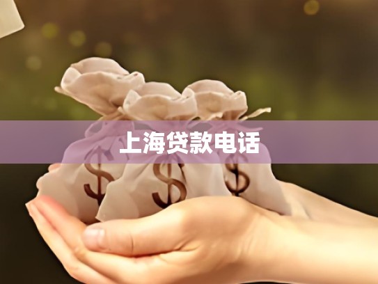 上海贷款电话