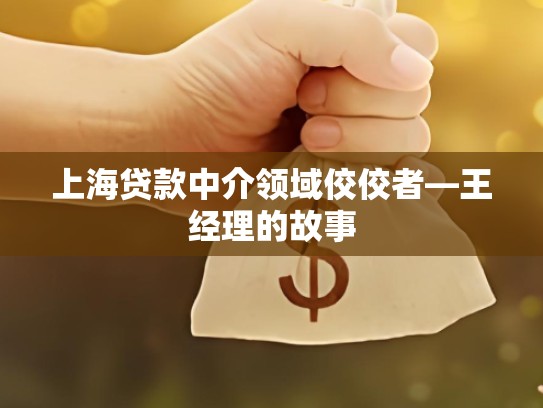 上海贷款中介领域佼佼者—王经理的故事