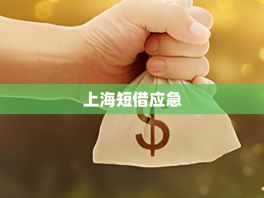 上海短借应急