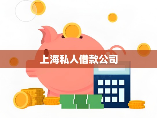 上海私人借款公司