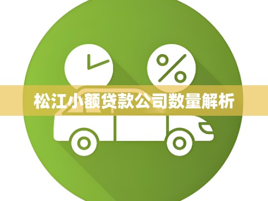 松江小额贷款公司数量解析
