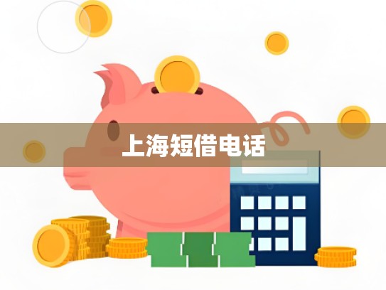 上海短借电话