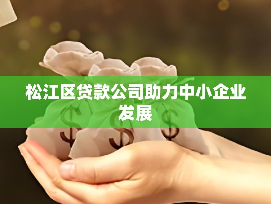 松江区贷款公司助力中小企业发展