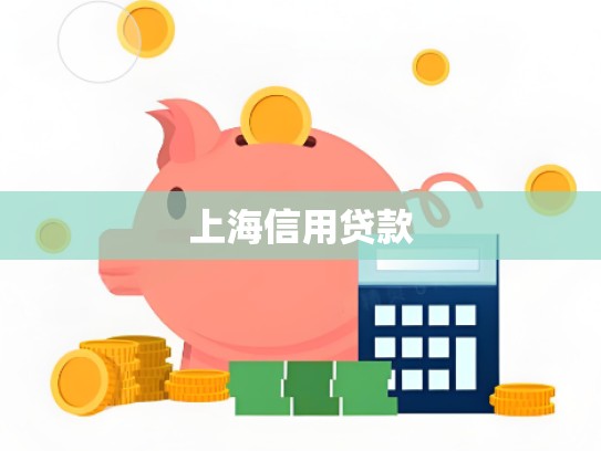 上海信用贷款
