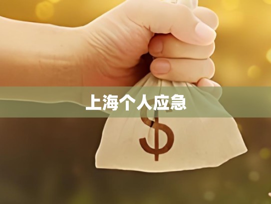 上海个人应急