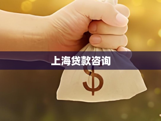 上海贷款咨询