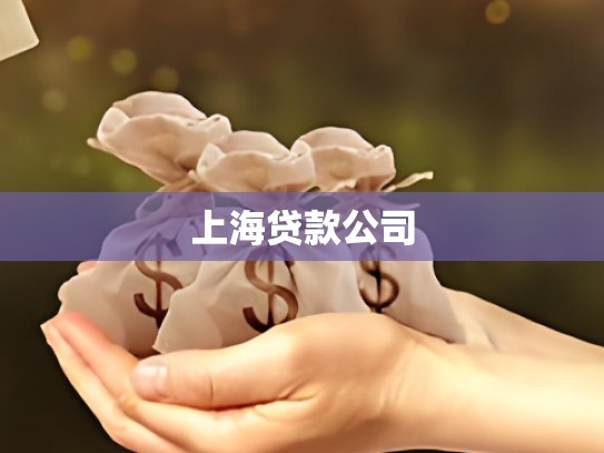 上海贷款公司