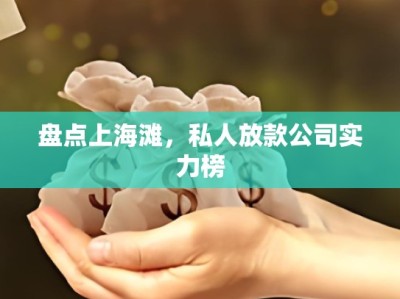 盘点上海滩,私人放款公司实力榜