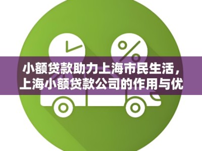 小额贷款助力上海市民生活,上海小额贷款公司的作用与优势