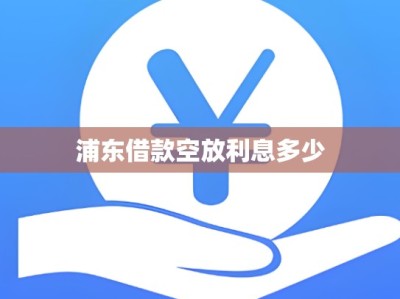 浦东借款空放利息多少
