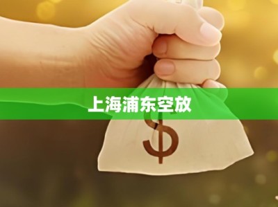 上海浦东空放