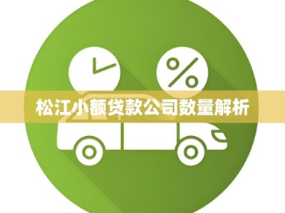 松江小额贷款公司数量解析