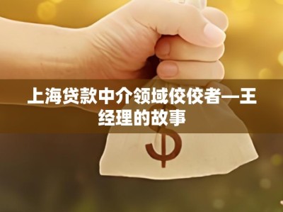 上海贷款中介领域佼佼者—王经理的故事