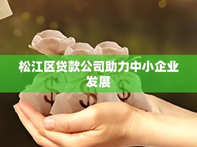 松江区贷款公司助力中小企业发展