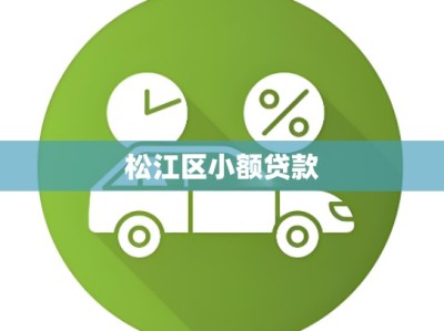 松江区小额贷款
